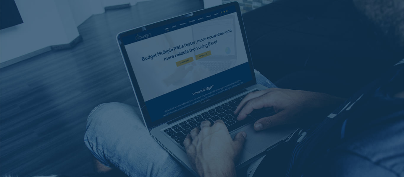 case study of budgyt software 